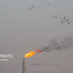 آلودگی هوا در ۱۴ شهر خوزستان ماهشهر در وضعیت «بنفش»