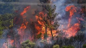 رایزنی بین‌المللی برای خاموش کردن آتش‌سوزی جنگل‌های چالوس